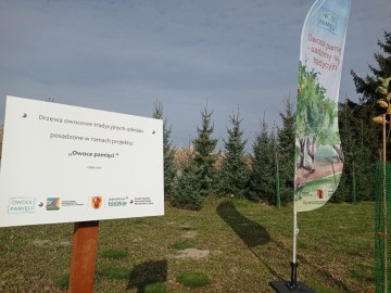 Nowy sad założony przy Parafii Kościoła Starokatolickiego Mariawitów w Lipce 27.10.2021r. w ramach projektu Owoce pamięci, 